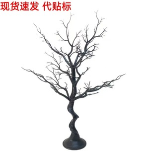 �羳����ɺ����ݘ�֦�f�}�}�Q�����b����Ҿӈ��������b�