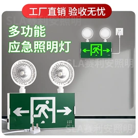 应急指示灯具;服务商品