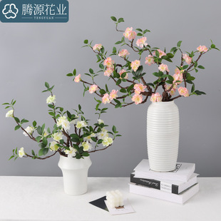 ����ٻ� ��֦÷�� �Ҿӕ����͏d�bl��֦��ܛ���������b�