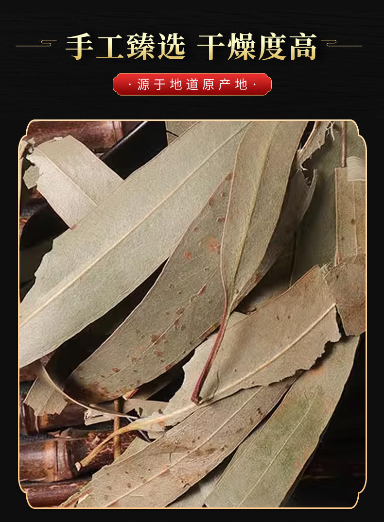 Eucalyptus Leaves (Eucalyptus globulus) — Dried Herbal Leaf for Tea, Steam & Soak in use