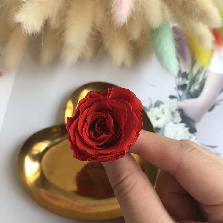 Материалы для DIY вечной жизни цветка, класс B, голова вечной розы 2–3 см, маленький брелок-розочка с основным материалом