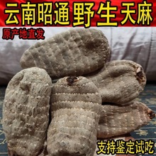 【包邮】云南昭通级乌天麻野生小草坝材补品煲汤无硫批