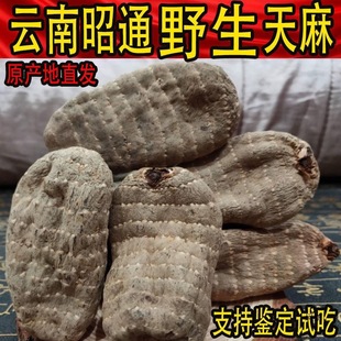 �����]�������ͨ��������Ұ��С�݉β��aƷ�Ҝ��o����