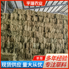 羊草马场草牧草牛羊草料养殖干饲料牛羊马牧草动物园批发现货