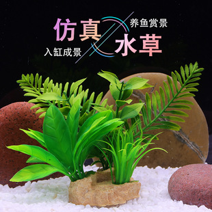 ~쾰ˮݷݶˮb׼ٲǰݼٻϻ