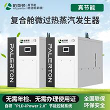 2吨免报检天燃气蒸汽发生器全自动超低氮纺织工业食品用锅炉工厂
