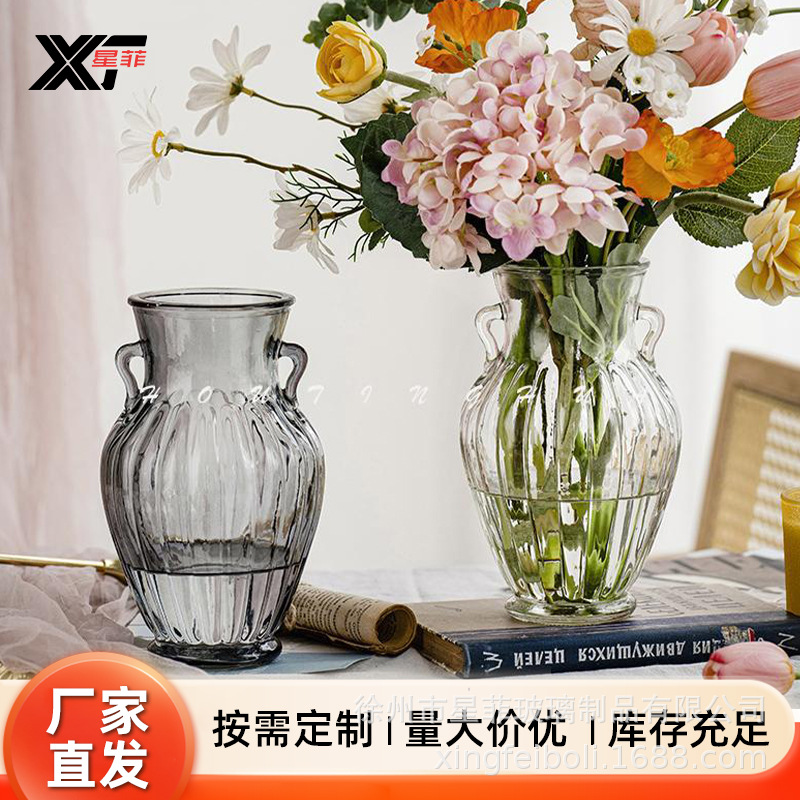 Vaso de vidrio retrógrado europeo en forma de jarro de doble oreja transparente hidropónico francés ramo de flores frescas secas adornos domésticos de gran calibre