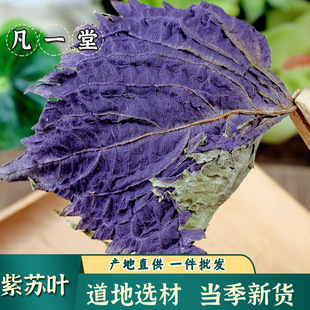 ����һ�á����K�~ �����x�Į�����؛���K�~���˹����x�K�~���K�~