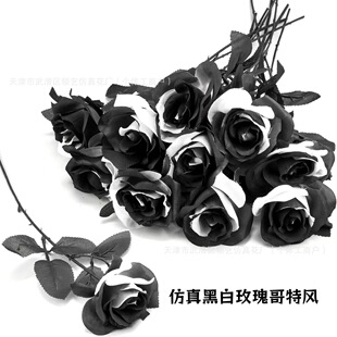 �羳�����L�ڰ�õ����滨�f�}���ٻ�����ϵ��õ�廨�ďS��ֱ�N
