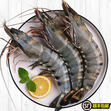 4����S���]���������r�������r���r�ϻ��r���r���r���]