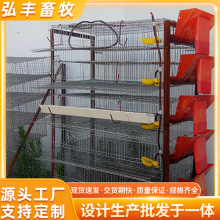 塑料防撒料喂食槽 规模化鹌鹑养殖场喂食设备孵化场育雏室食槽