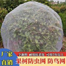 ���x�W�ּ��W���җ�÷�{ݮɏ�F������B����ω����Ⱦ�W��͸��͸��