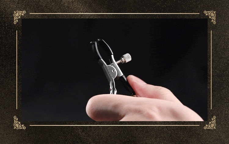 Mystery Bell Nipple Clamps with Dual Bells, Metal Bondage Accessory for Couples — detail image 16