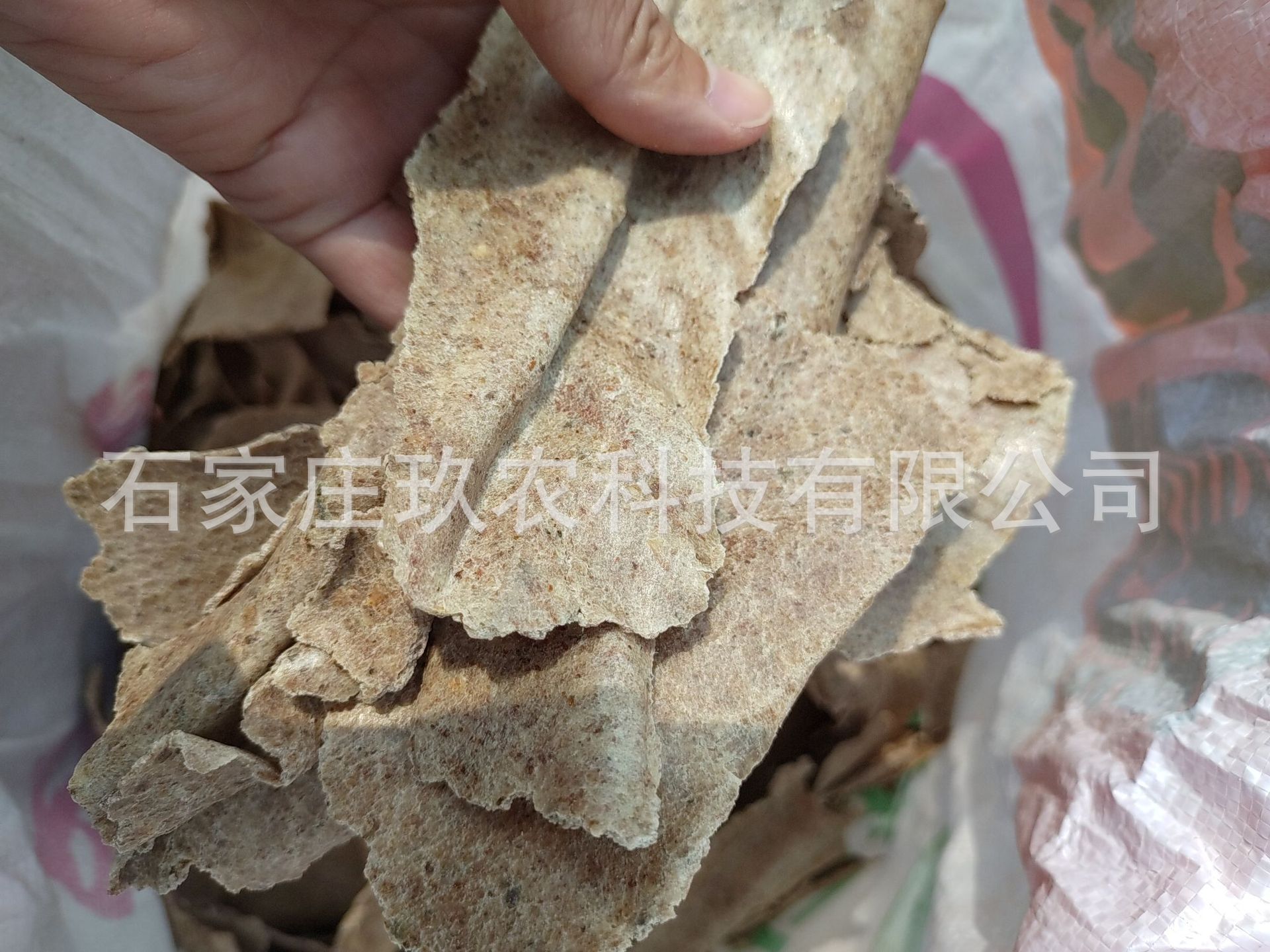 4485331c6e0964692f1470fa6ff780