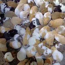 ��ë�����l��z��������ţ�ܺ��ܾ����y����Ȧ���۾��ܶ��������