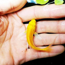 ��ؔ�S���\����ˮ�^�p�~���B�ͻ��Lˮ��ˮ���~�~���\�����P�[��