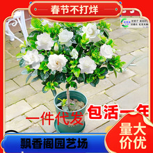 һ�����l���U�����Ǘd�ӻ����Ԏ��������~�Ϙ�Φ�Ә���ĵ���ļ��_