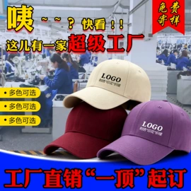 成人帽;围巾;女士单肩包