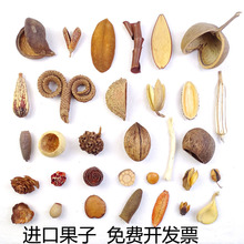 �����M�ڹ�������ٰ͹���¡ؐ�������o���ֹ�diy���˱��廨