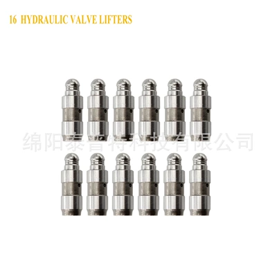 Hydraulic Valve Lifters 5184332Aa 036109423D