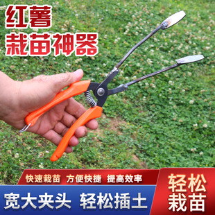 �t�������������¿�عϲ������߲˷Nֲ���߷N�[������Լt������