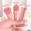 Handheld brush, universal mirror, face blush, tools set, 5 pieces, wholesale