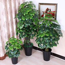 ����Gֲ�lؔ����X�����ԾGֲ�͏d�b�����ؾGֲ�����辰�[��