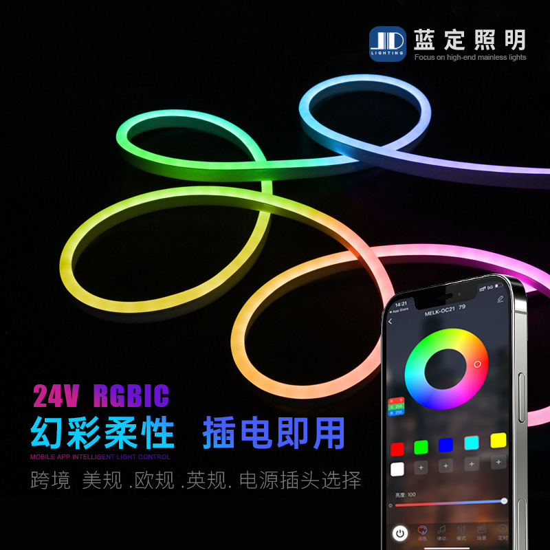 24V flexible colorful neon light with cross-border 110V220V plug-in full color Bluetooth APP suit RGBIC