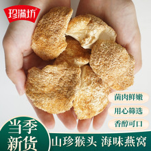 300g猴头菇一件代发菌菇干货散装新鲜无硫新货食用菌源头工厂净重