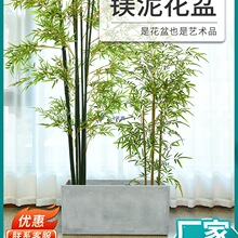 �L����ˮ�໨���L�l�R�ۿ͏d�̨����N���V�໨���̖�Gֲ����