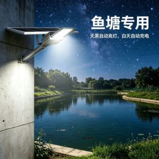�~���r������̫���·�� Ұ���͕��m���� ���겻�ý���M