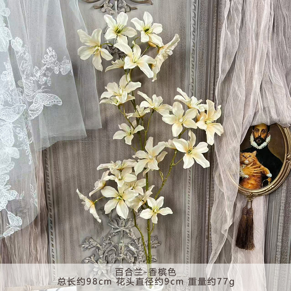 JH-百合兰-香槟色