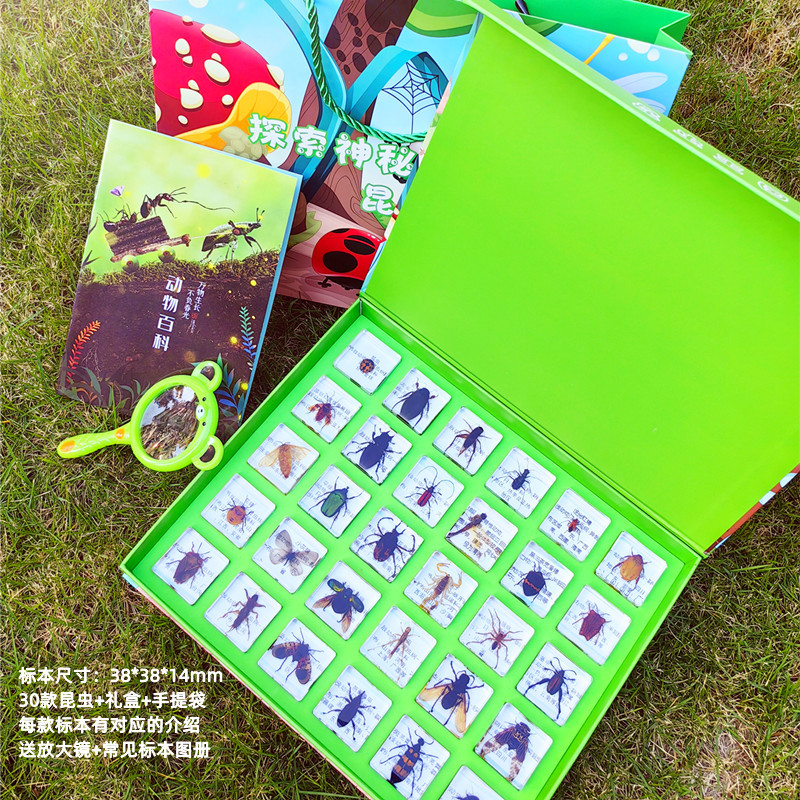 무작위 곤충 30마리 + 선물 상자 + 선물 가방 옵션