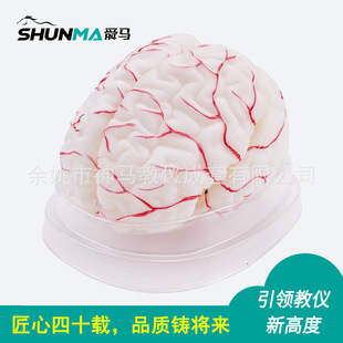 �X����ģ�͏S��ֱ�N�Xģ�͎��������w����8������Ѫ�ܴ��Xģ��