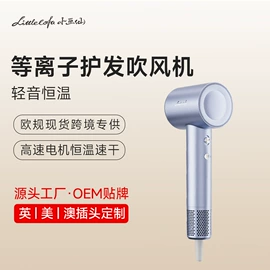 卷发/直发器;电吹风;养生壶