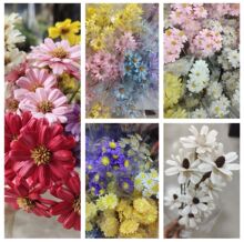 云南手工干花太阳瓜子花家居装饰摆件ins风拍照瓜子莲花束果壳