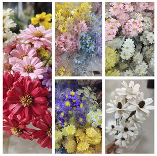 ����ֹ��ɻ�̫ꖹ��ӻ��Ҿ��b[��ins�L���չ���ɏ��������