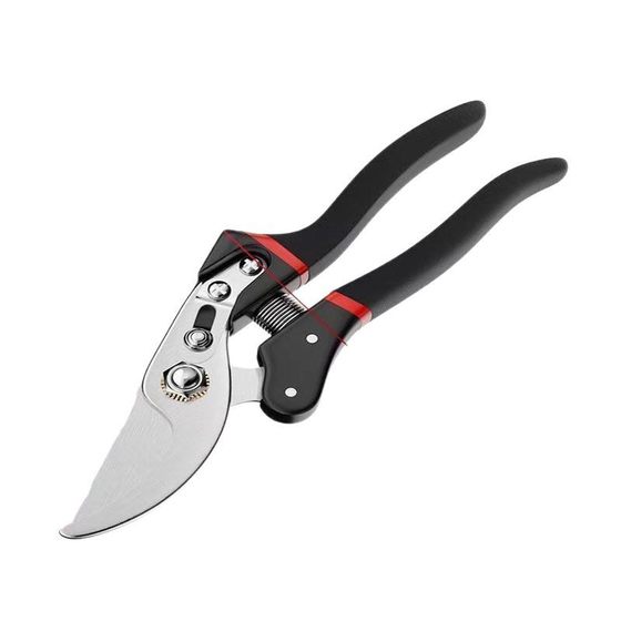 New Card Garden Fruit Branch Shears Strong Rough Branch Shears Pastoral Road Grafting Shears Pruning Flower Tree Tools