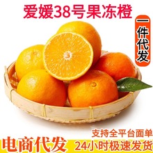 四川爱媛38号果冻橙子一件代发爱媛果冻橙子水果非耙耙柑橘子包邮