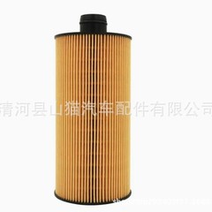メーカー直販オイルフィルター 610DA1013010A は華菱ハンマに適しています