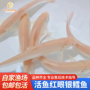 ���~�t���y�L�~��ˮ�~��ˮ�~���B�ͻˮ�^�p�~��ؔ���S�����l