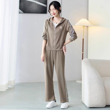 时尚运动服套装女秋装妈妈休闲外套新款中老年女装春秋两件套