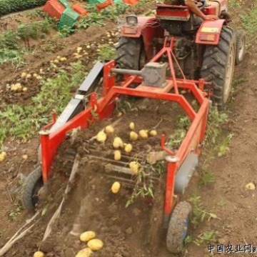 红日土豆收获机   0.6米收获机   拖拉机悬挂地瓜收获机