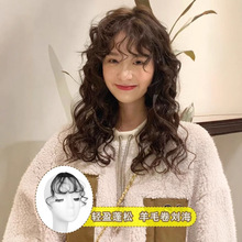 �����ٰlŮ��Ȼ�����ë���ل����NƬjk�턢����������Ů�ٰl����