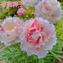 �ذ���ș���N�ӝ�������������͟��ͺ�ͥԺ�̨�^�p��șĵ������