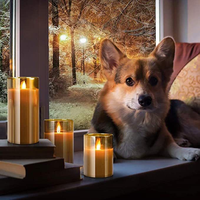 61EfwzaUdHL._AC_SX679_