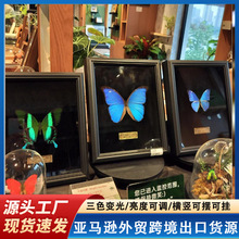 亚马逊蝴蝶标本相框空框黑色高级感立体展示框中空2cm多尺寸可选