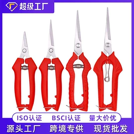 修枝剪;办公剪刀;厨用剪刀