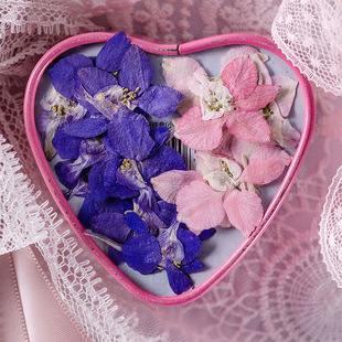 Qiandowahua Baffle Dropping Glue Dried Flower Embossing Material DIY Mobile Phone Shell Dried Flower Plant Specimen Teaching Real Flower