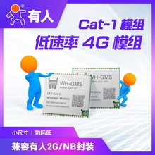 lte cat1ģKNB/GPRSb4GģKڔ͸GM5